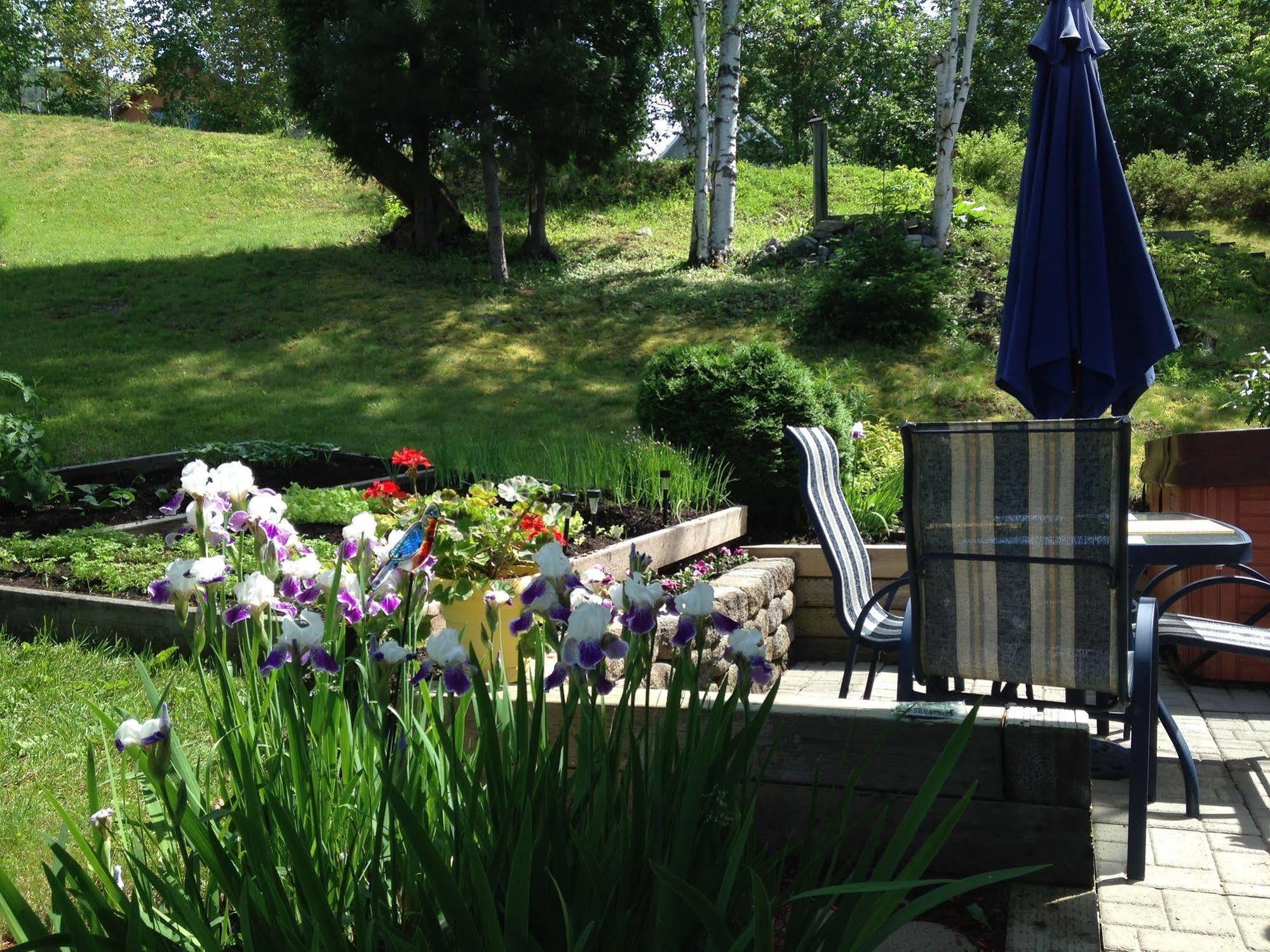 Panoramique Du Fjord Apartment L'Anse-Saint-Jean Exterior photo